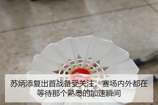 苏炳添复出首战备受关注，赛场内外都在等待那个熟悉的加速瞬间 | kaiyun